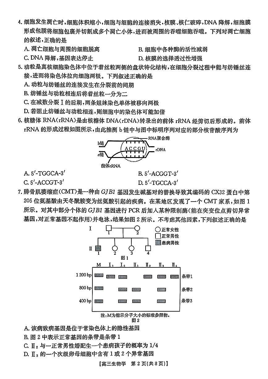 安徽省皖西南金太阳发展联盟高三上学期8月起点考（26-04C）-生物试题+答案第2页