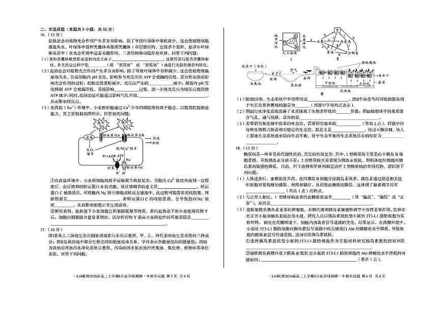 安徽A10联盟2026届高三上学期8月底学情调研-生物试题+答案第3页