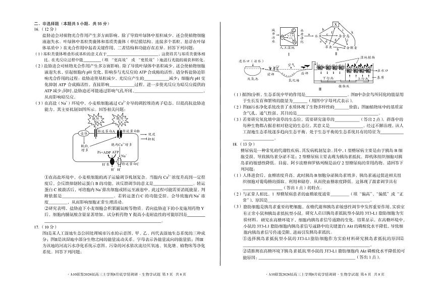 安徽省A10联盟2026届高三上学期8月底学情调研生物试题（PDF版附解析）第3页