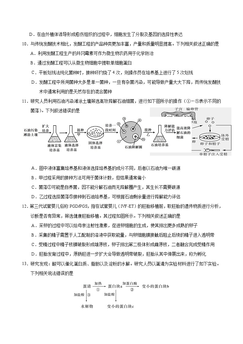 天津市五区县重点校2024-2025学年2024-2025学年高二下学期7月期末联考生物学试卷（含答案）第3页