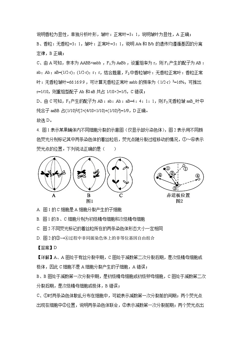 山东省德州市2024-2025学年高一下学期期末考试生物试卷（解析版）第3页