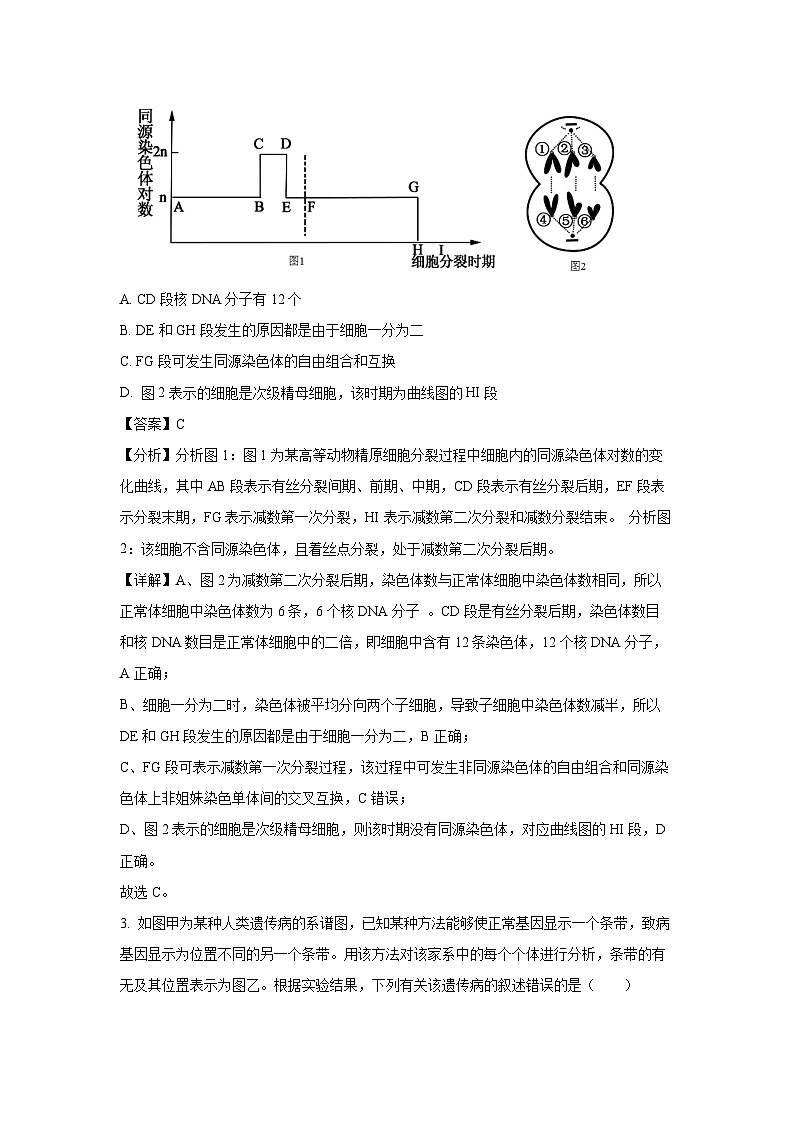 陕西省渭南市大荔县2024-2025学年高一下学期期末质量检测生物试卷（解析版）第2页