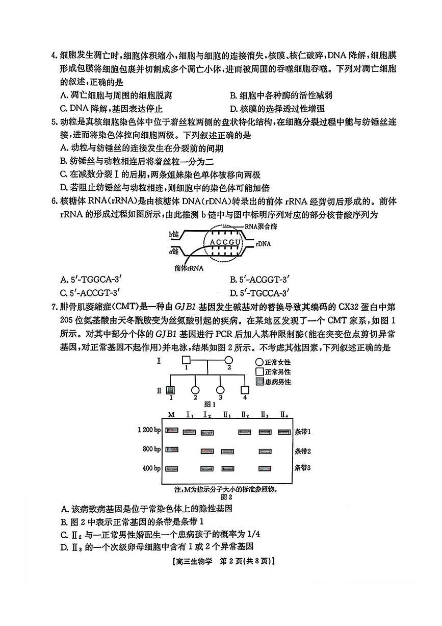 金太阳·安徽省皖西南高中振兴发展联盟高三上开学起点考试 生物试卷（含答案详解）第2页