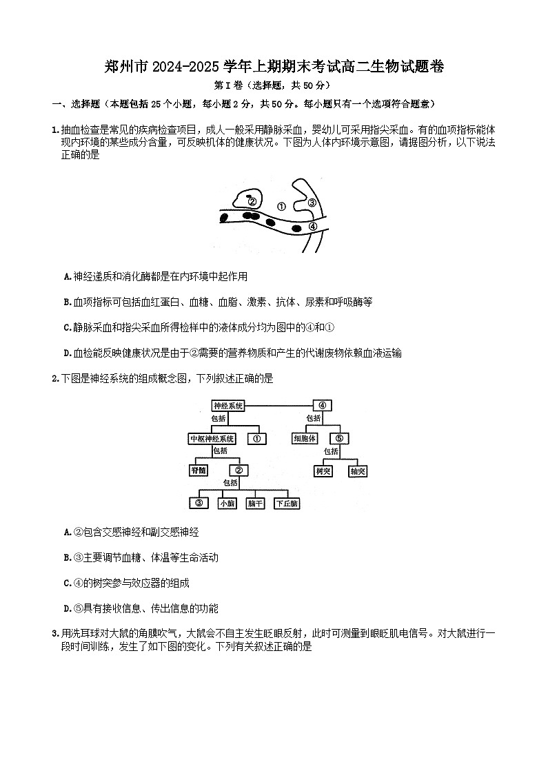 河南省郑州市2024-2025学年高二上学期期末考试生物试卷第1页