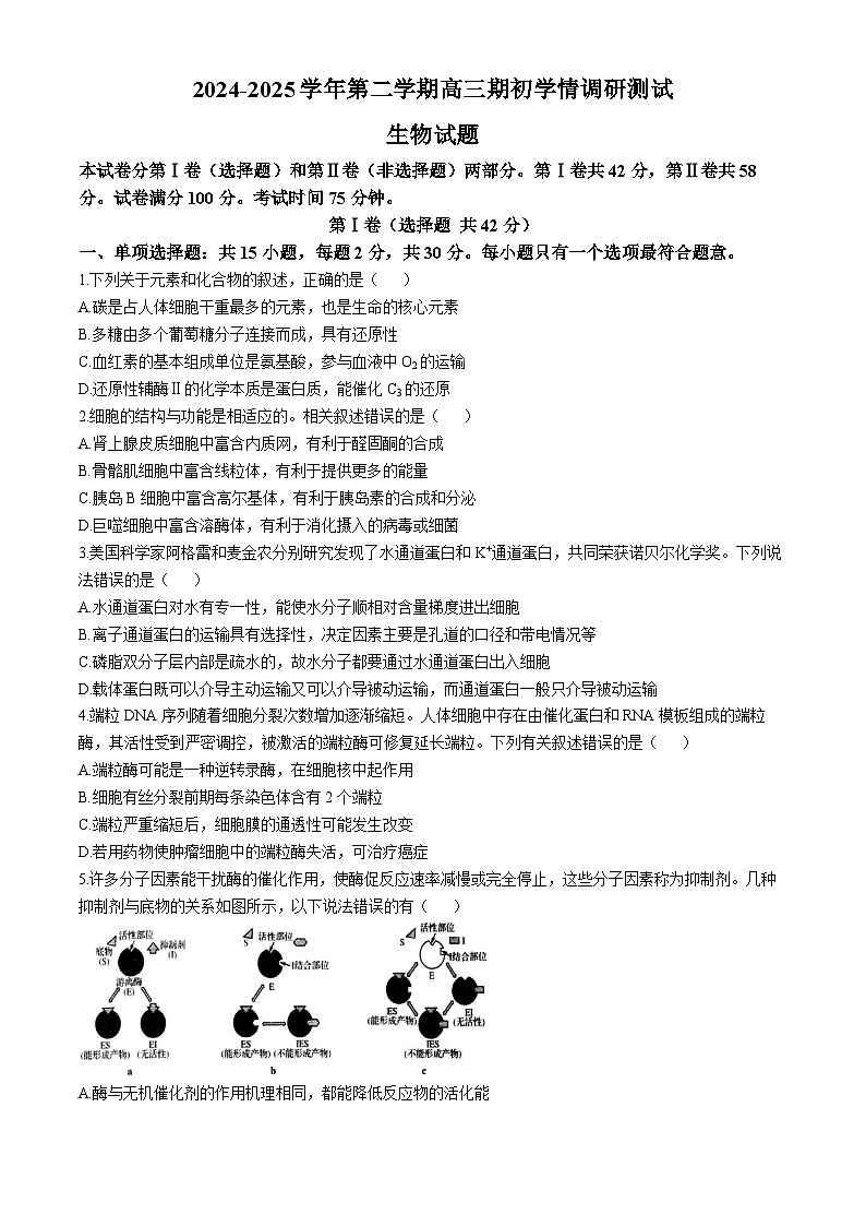 江苏省扬州市高邮市2024-2025学年高三下学期开学考试生物+答案第1页