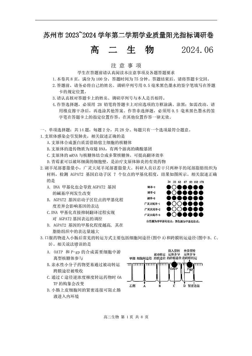江苏省苏州市2023-2024学年高二下学期6月期末生物试卷+答案第1页