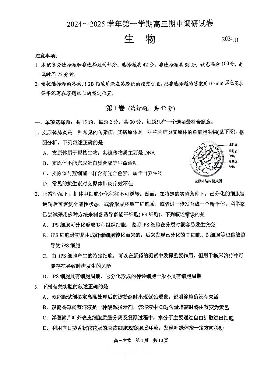 江苏省苏州市2024-2025学年高三上学期11月期中调研生物试卷+答案第1页