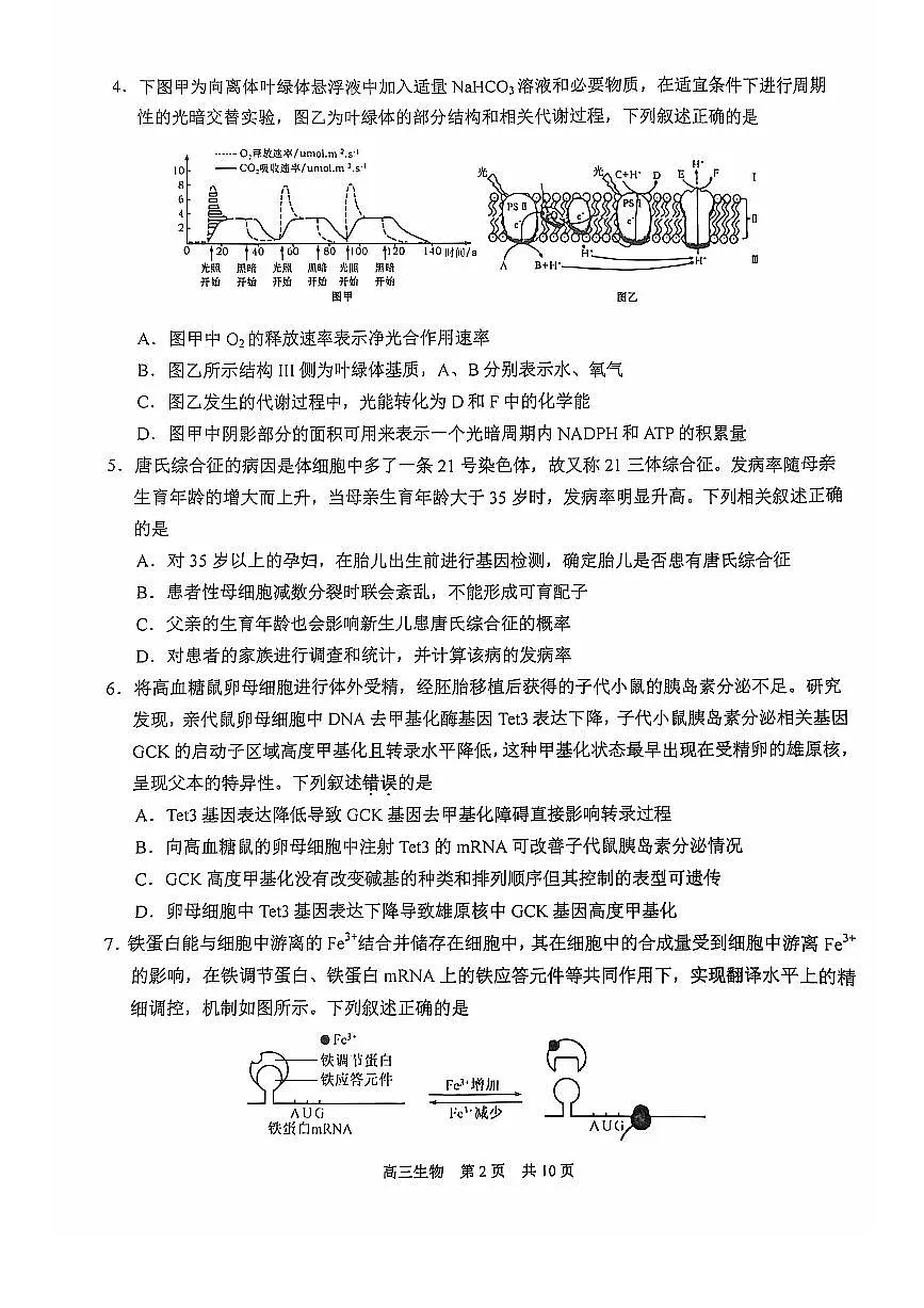 江苏省苏州市2024-2025学年高三上学期11月期中调研生物试卷+答案第2页
