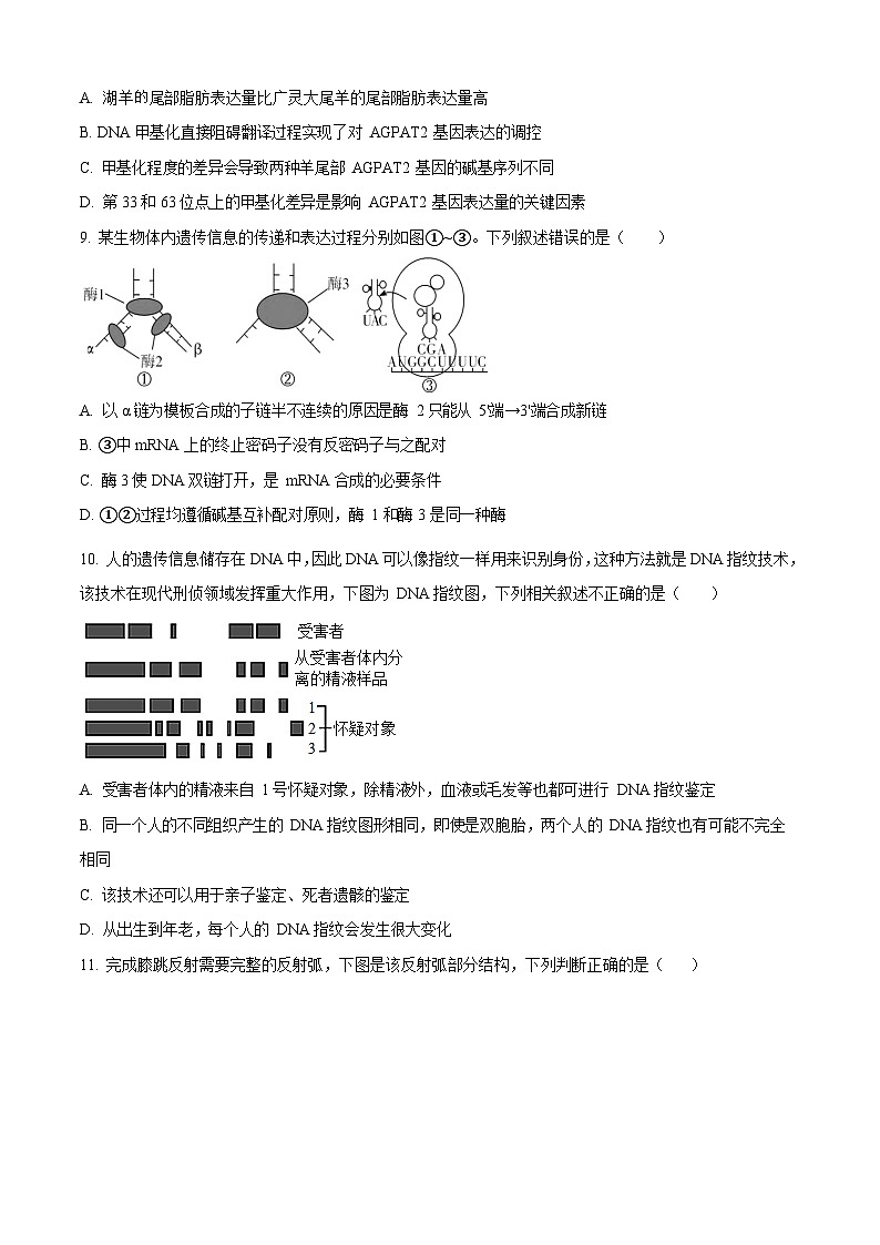 湖南省岳阳市汨罗市第一中学2025-2026学年高二上学期开学考试生物试卷第3页