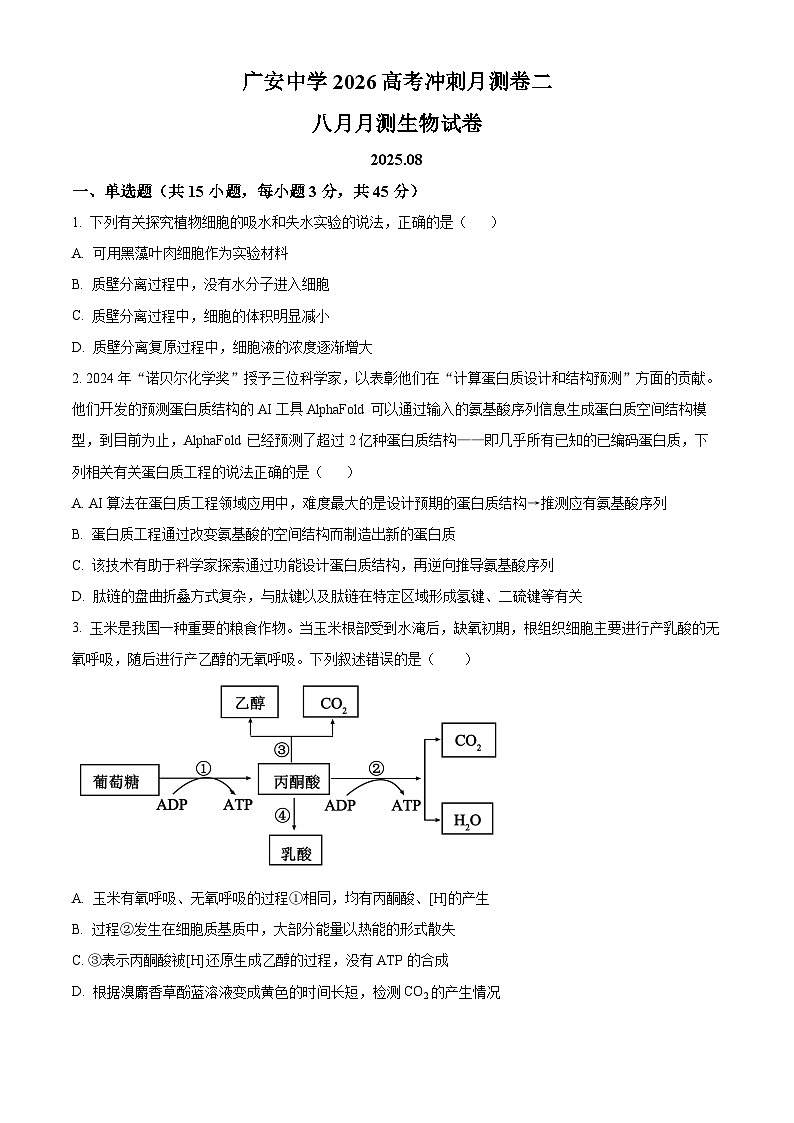 四川省广安中学2025-2026学年高三上学期8月月考生物试题  Word版无答案第1页