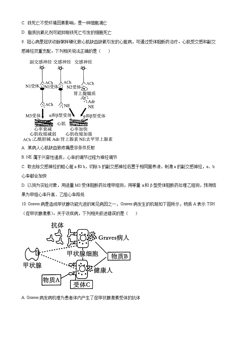 四川省广安中学2025-2026学年高三上学期8月月考生物试题  Word版无答案第3页