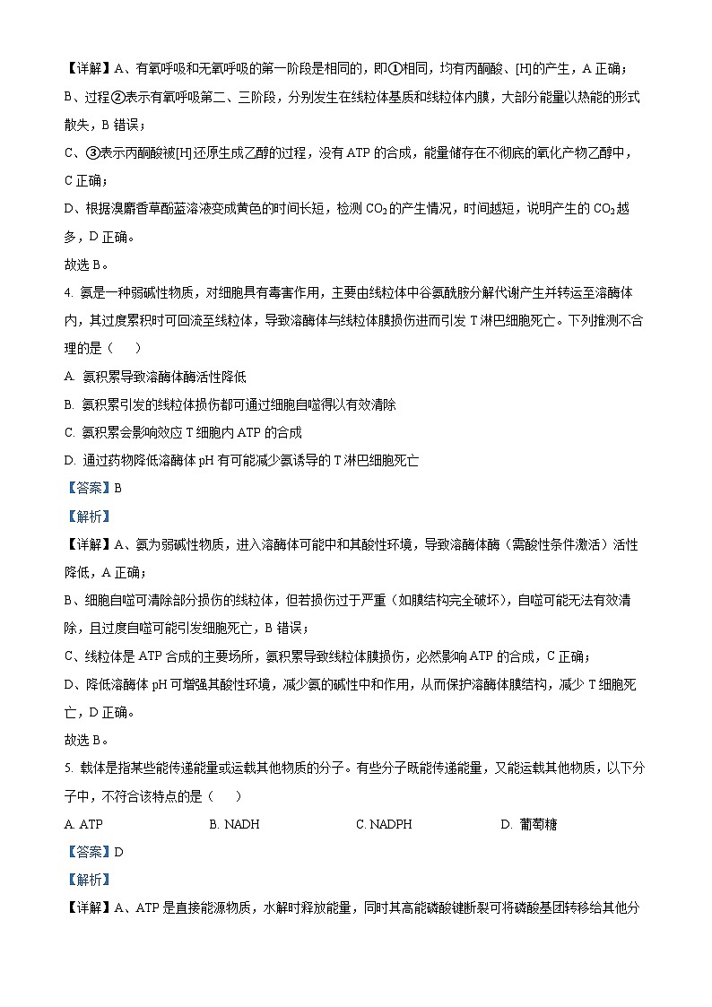 四川省广安中学2025-2026学年高三上学期8月月考生物试题  Word版含解析第3页