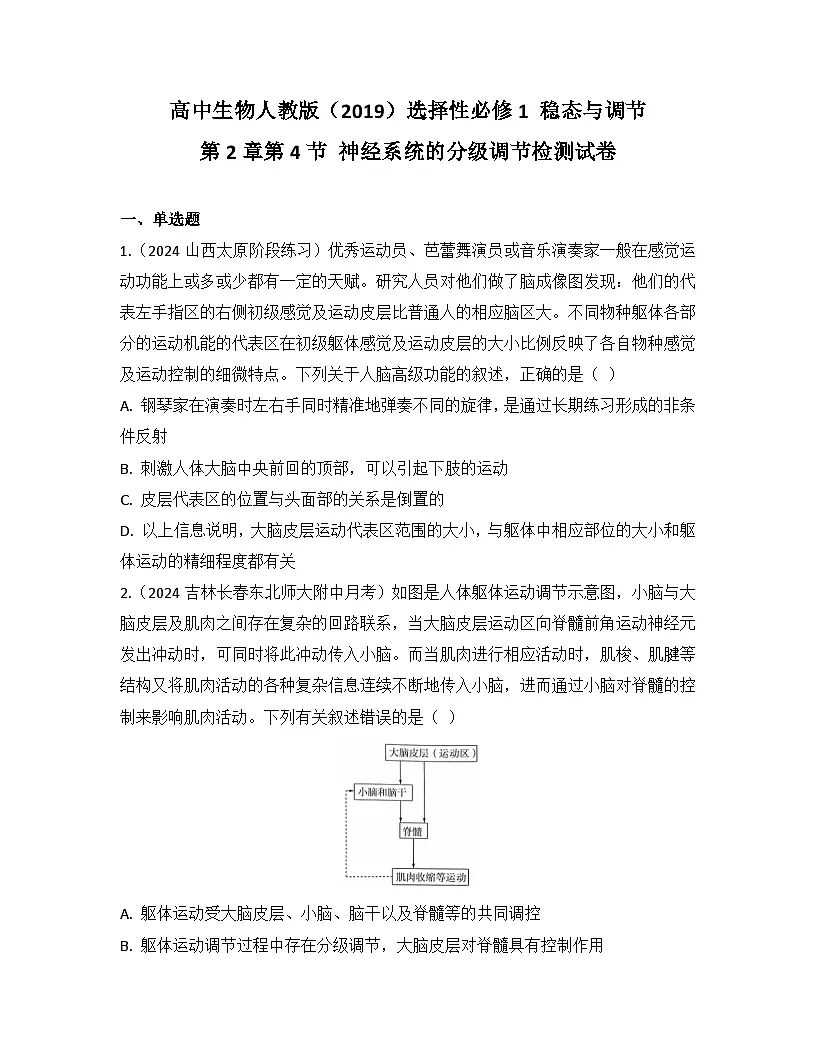 高中生物人教版（2019）选择性必修1 稳态与调节第2章第4节 神经系统的分级调节检测试卷（及答案）1第1页