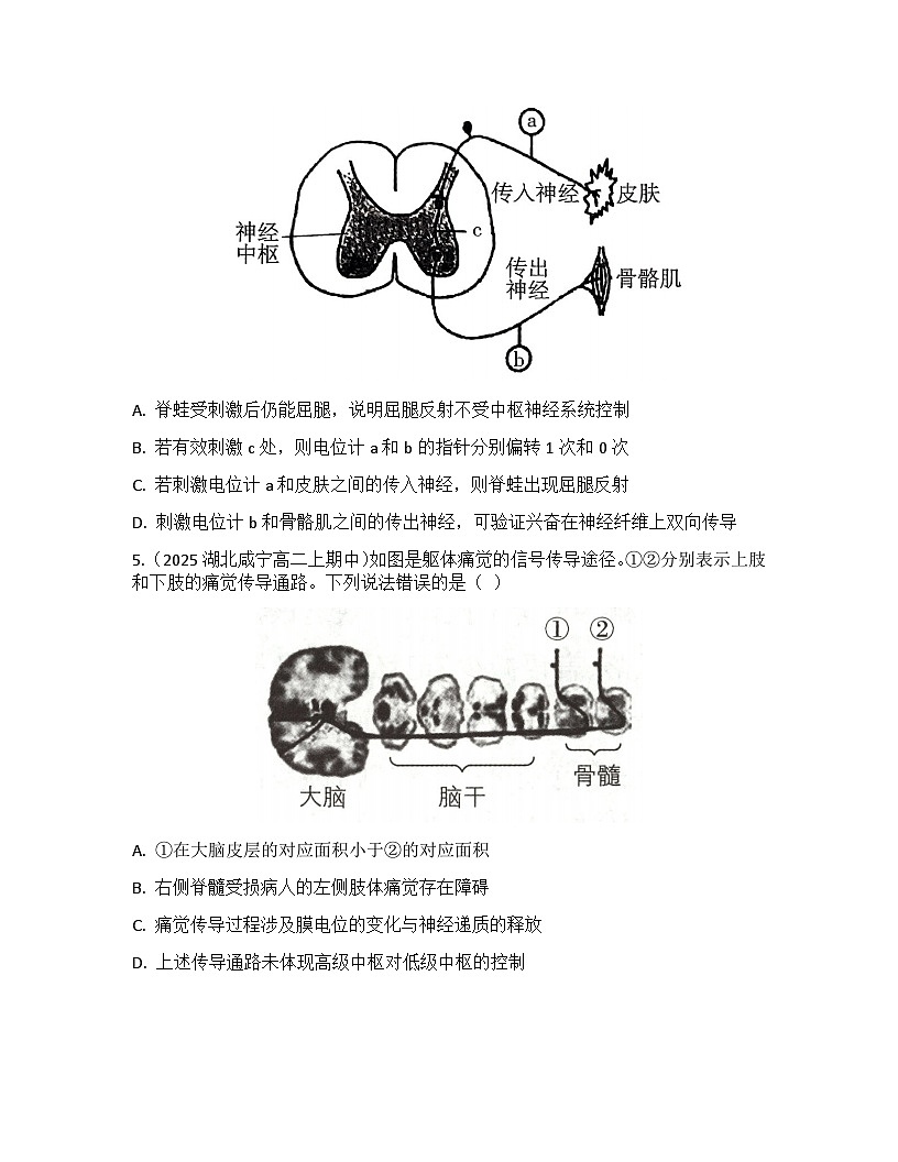 高中生物人教版（2019）选择性必修1 稳态与调节第2章检测试卷（及答案）第2页