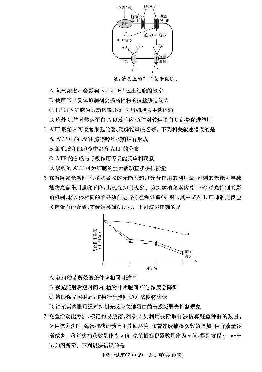 湖南师范大学附属中学2026届高三上学期8月月考（一）生物试卷+答案第2页