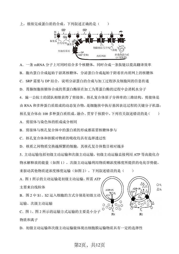 26八中上开学生物试卷第2页