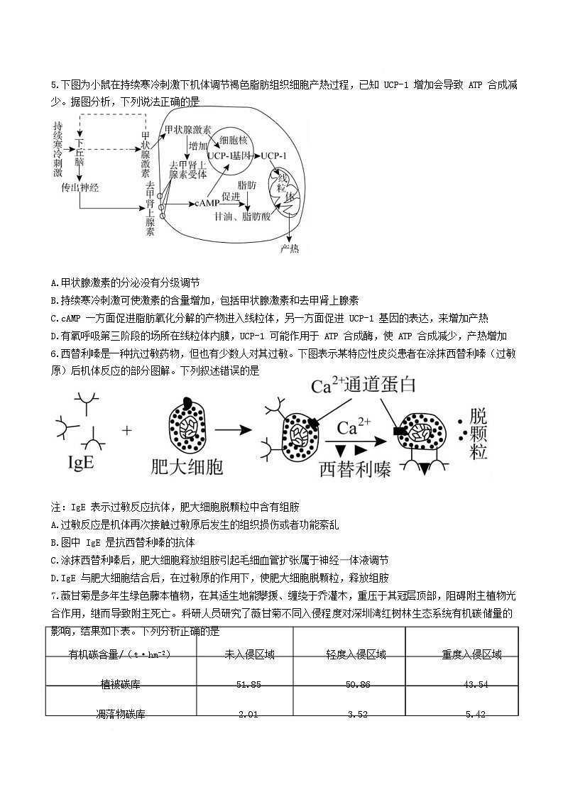 湖南省湘潭市2024_2025学年高二生物下学期期末考试含解析第2页