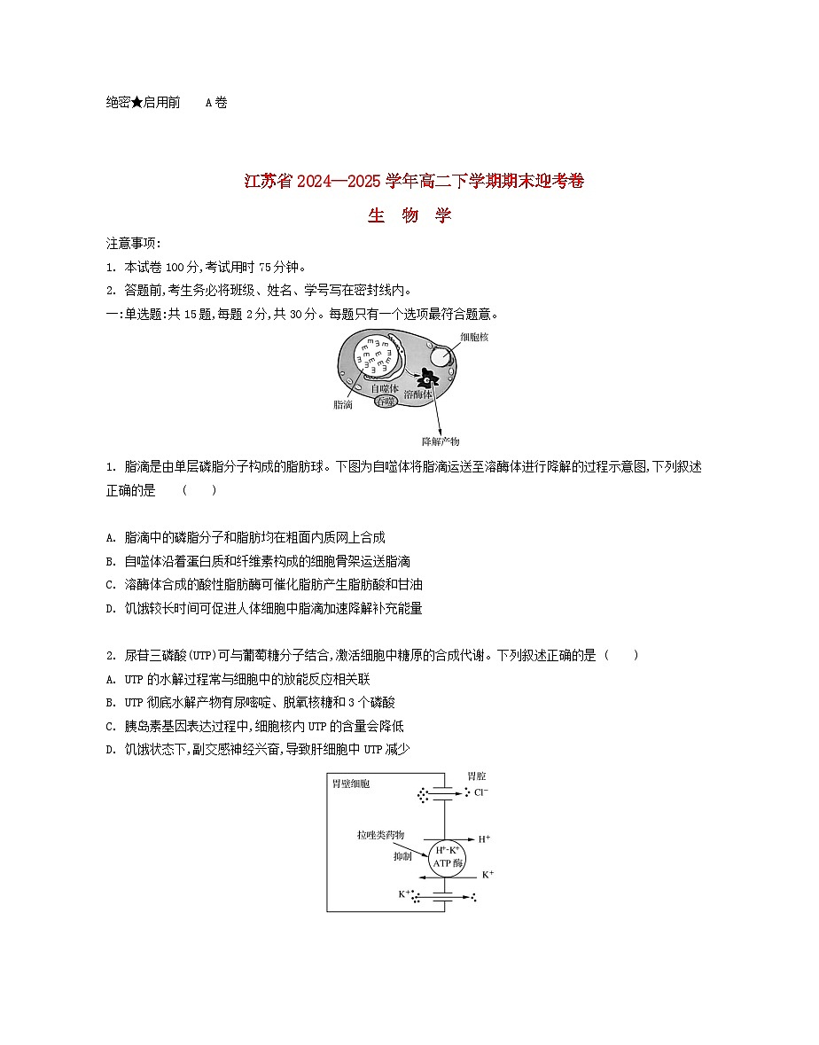 江苏省部分高中2024_2025学年高二生物下学期期末迎考试题含解析第1页