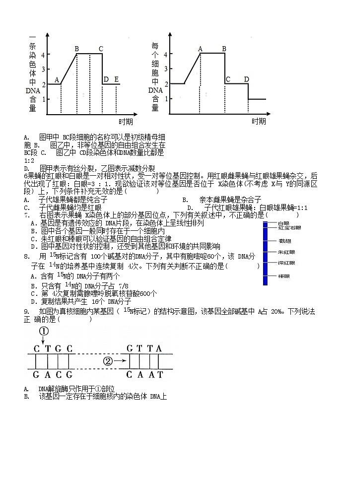 山东省泰安市2024_2025学年高一生物下学期6月月考试题第2页