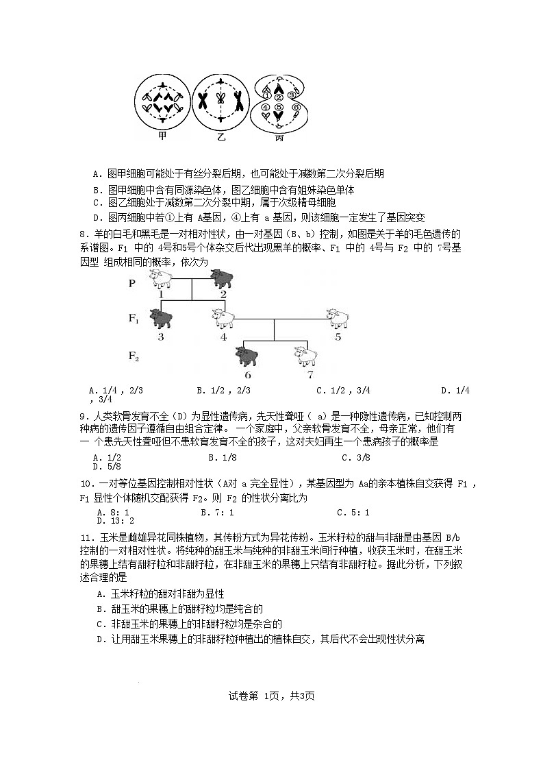 福建省连城县2024_2025学年高一生物下学期5月月考2第2页