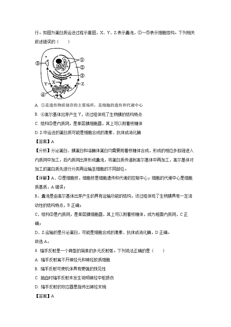 湖南省岳阳市临湘市2024-2025学年高一上学期9月月考生物试题（解析版）第3页