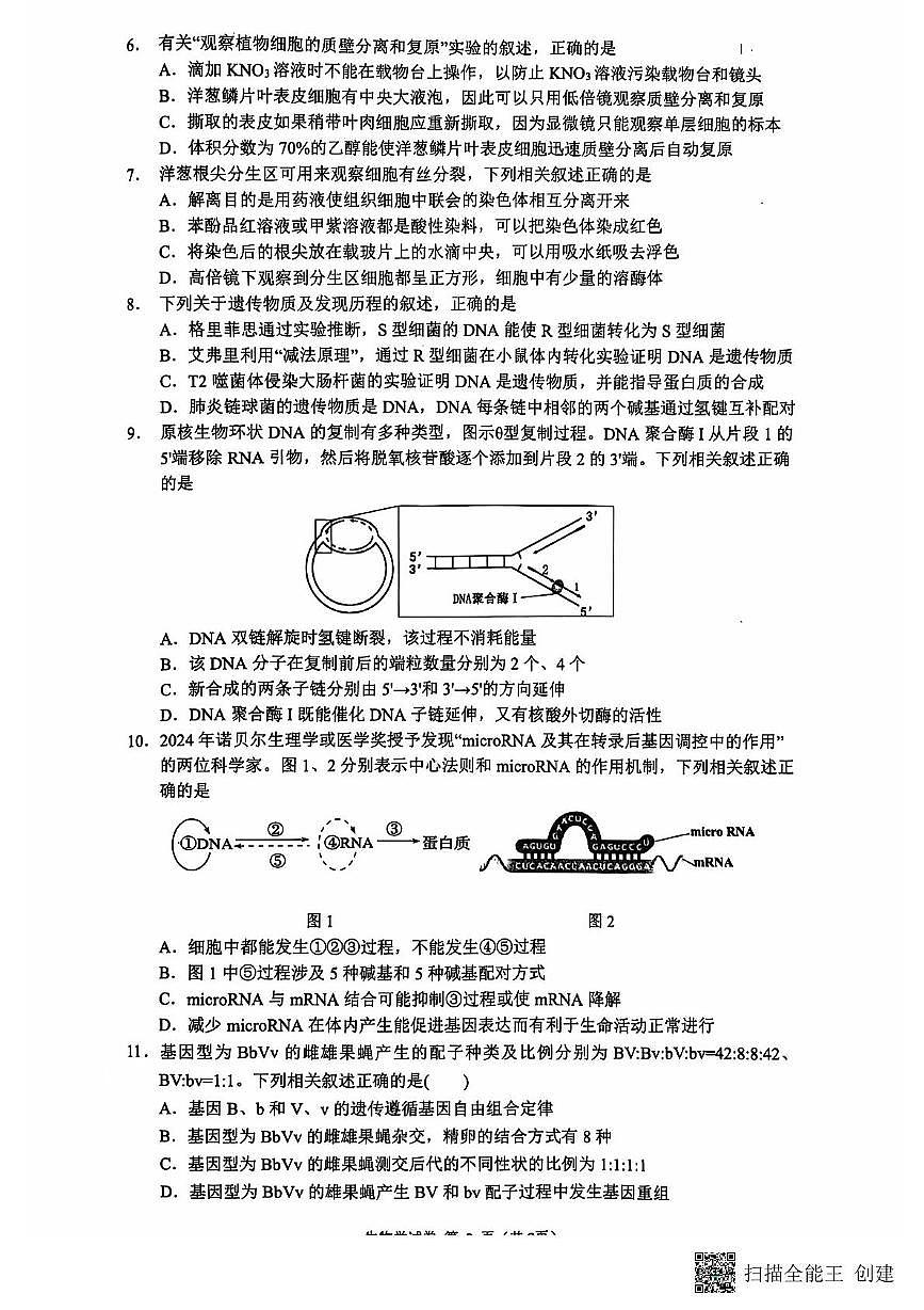 江苏省连云港市2024-2025学年高三第一学期期中调研考试生物试卷第2页