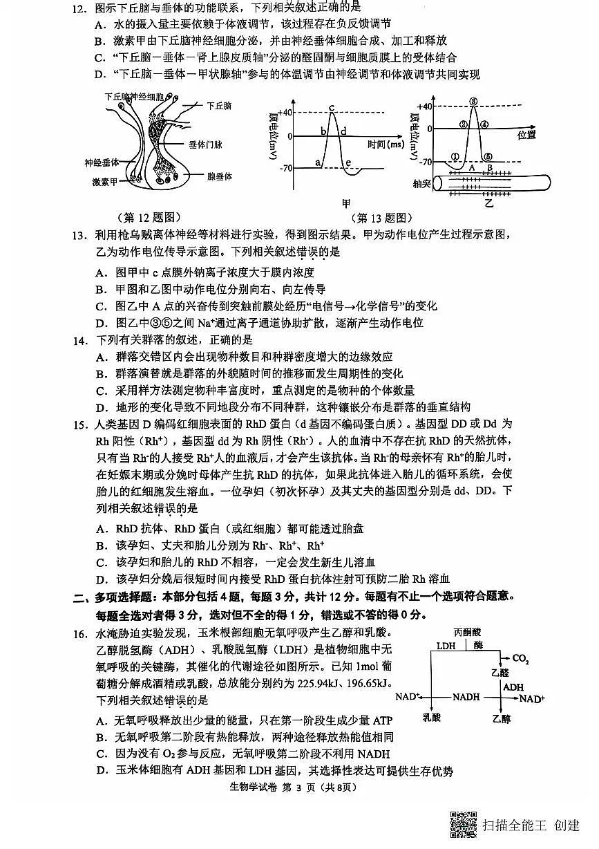 江苏省连云港市2024-2025学年高三第一学期期中调研考试生物试卷第3页