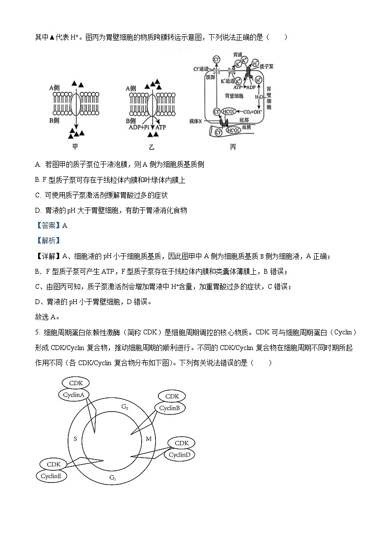 湖南省多校联考2025-2026学年高三上学期入学考试生物试题  Word版含解析第3页