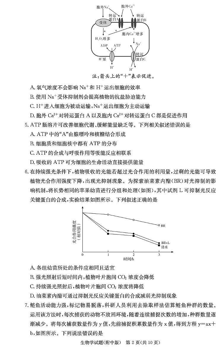 湖南师范大学附属中学2026届高三上学期月考（一）生物试题（PDF版附解析）第2页
