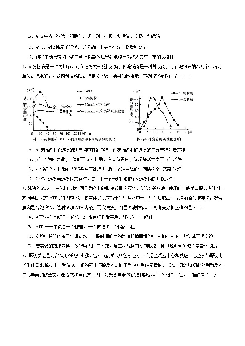 重庆市第八中学2025-2026学年高三上学期入学考试生物试题（Word版附答案）第3页