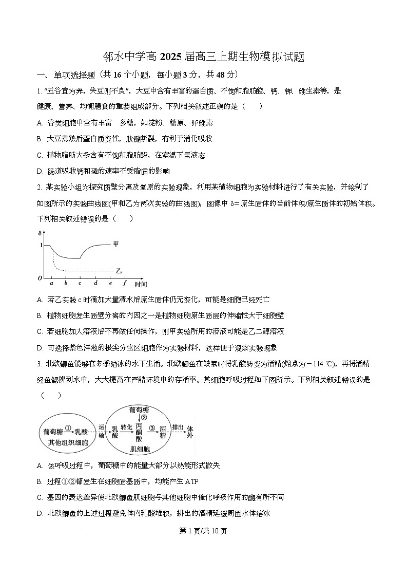 四川省广安市邻水中学2024-2025学年高三上学期第一次模拟生物试题  Word版无答案第1页