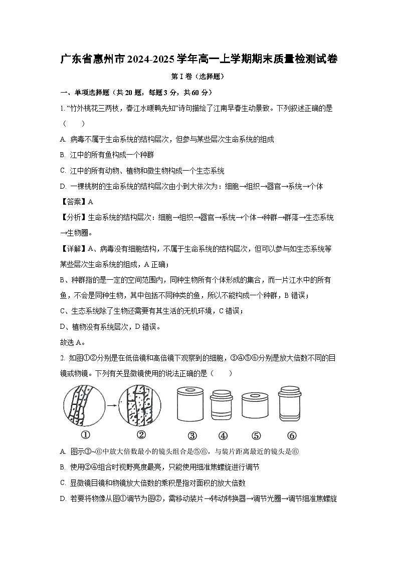 【生物】广东省惠州市2024-2025学年高一上学期期末质量检测试卷（解析版）第1页