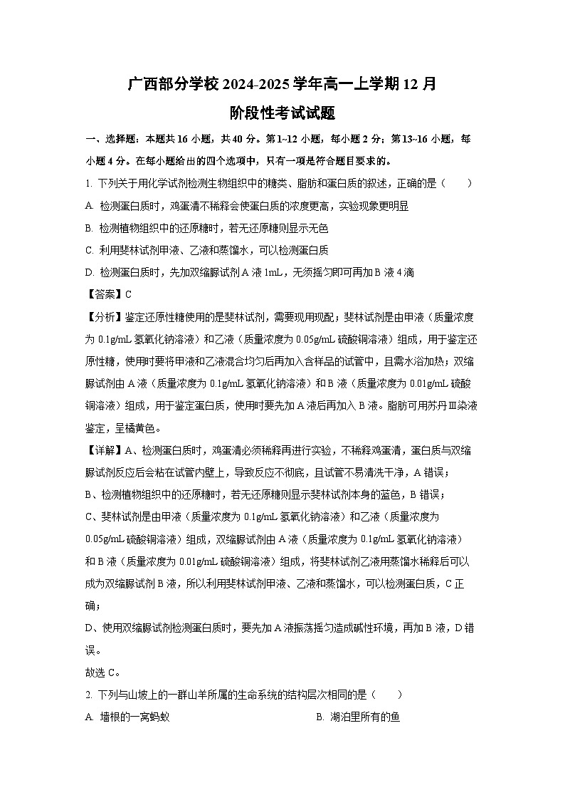 【生物】广西部分学校2024-2025学年高一上学期12月阶段性考试试题（解析版）第1页