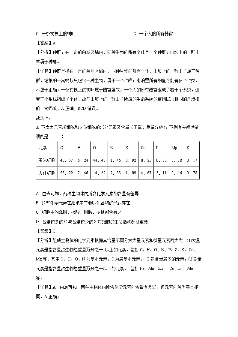 【生物】广西部分学校2024-2025学年高一上学期12月阶段性考试试题（解析版）第2页