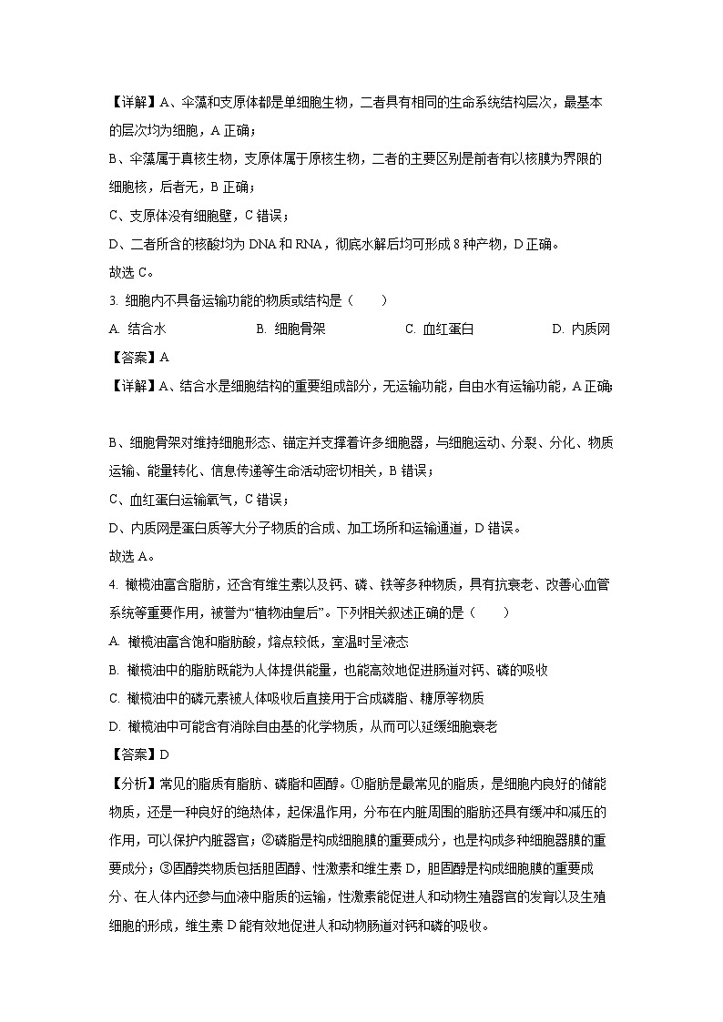 【生物】河北省保定市2024-2025学年高一上学期1月期末试题（解析版）第2页