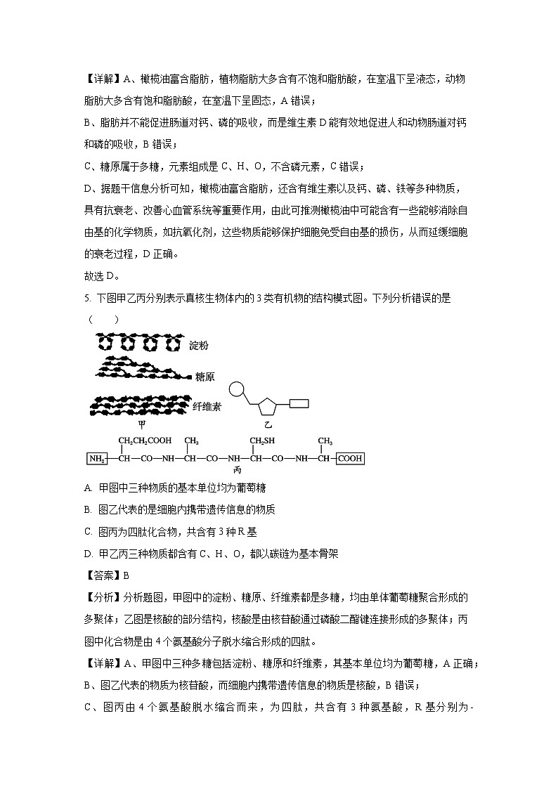 【生物】河北省保定市2024-2025学年高一上学期1月期末试题（解析版）第3页