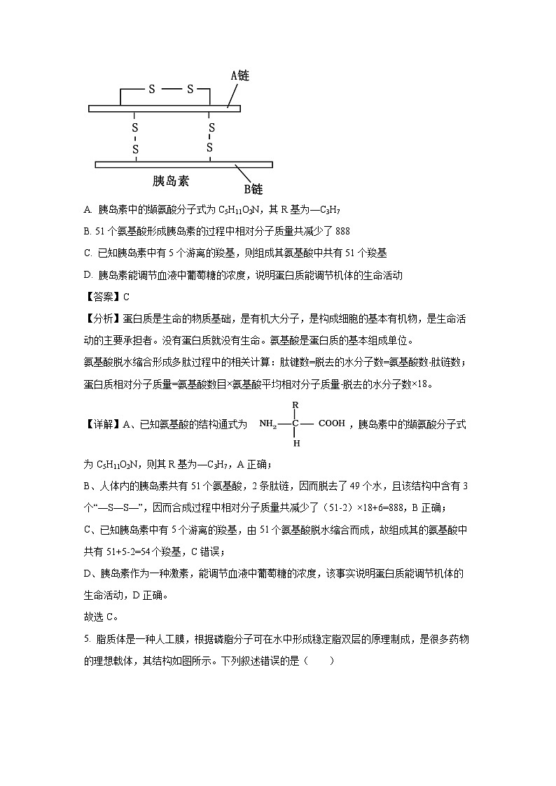 【生物】河南省许昌市禹州市第三高级中学2024-2025学年高一上学期1月期末试题（解析版）第3页