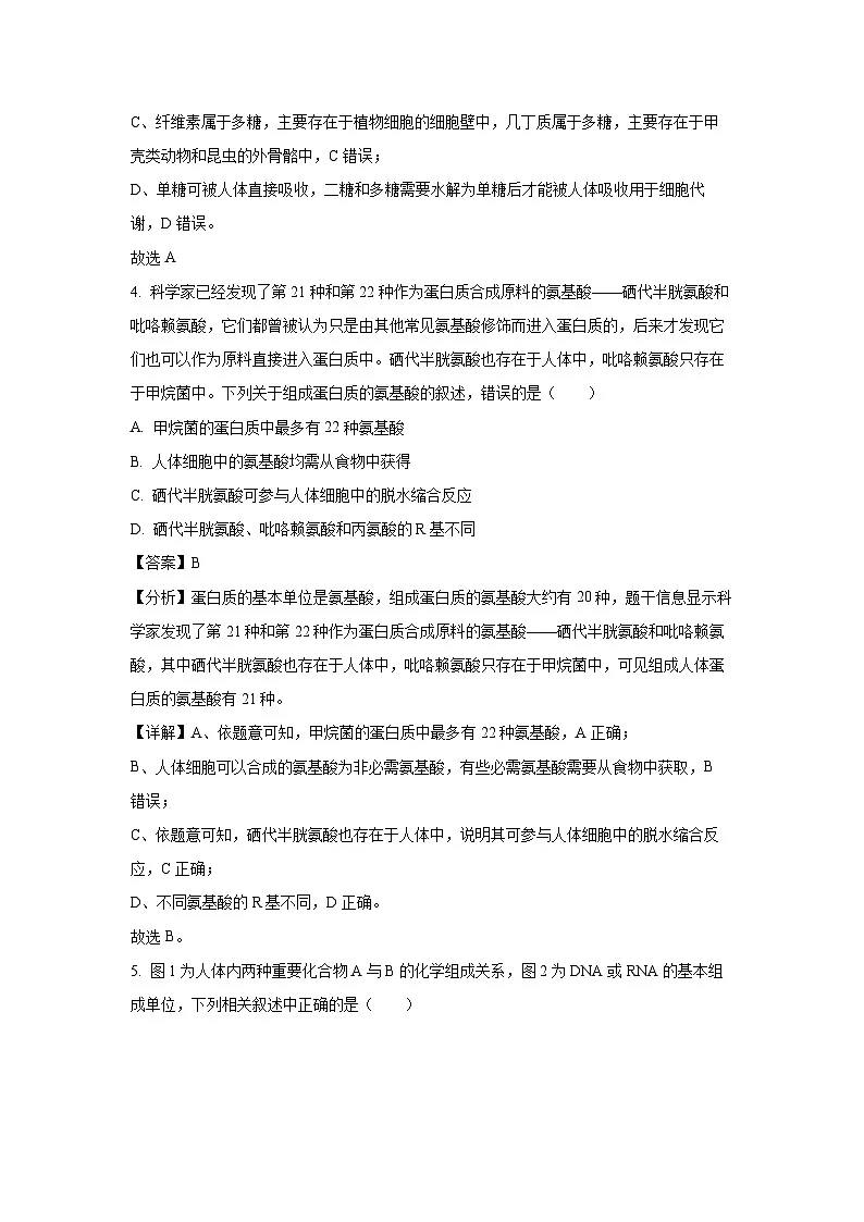 【生物】黑龙江省2024-2025学年高一上学期12月月考试题（解析版）第3页