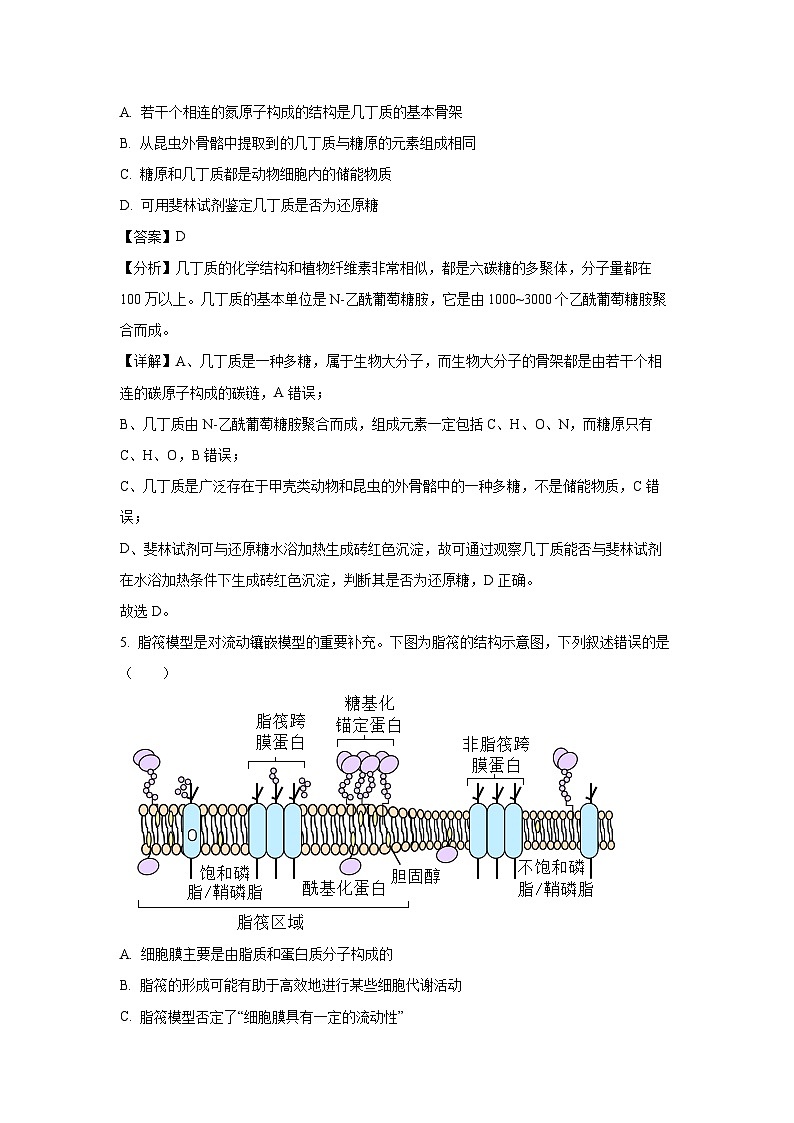 【生物】湖北省随州市部分2024-2025学年高一上学期1月期末试题（解析版）第3页