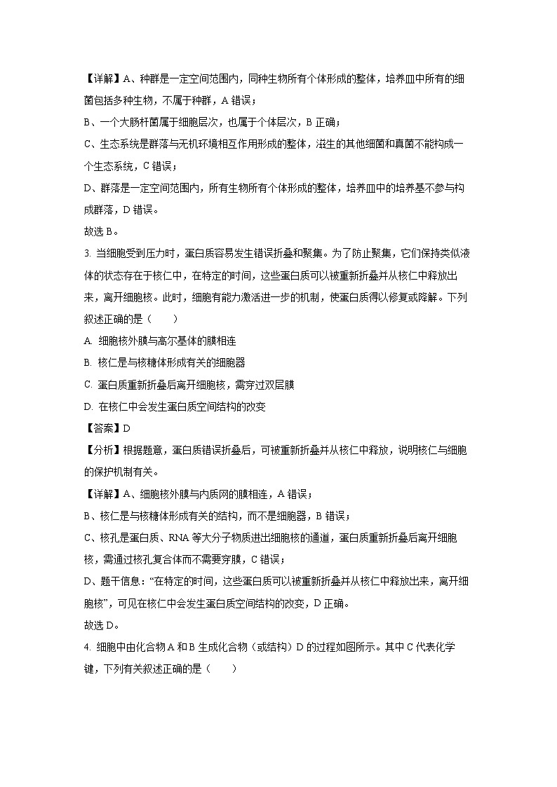 【生物】辽宁省沈阳市2024-2025学年高一上学期期末五校联考试题（解析版）第2页