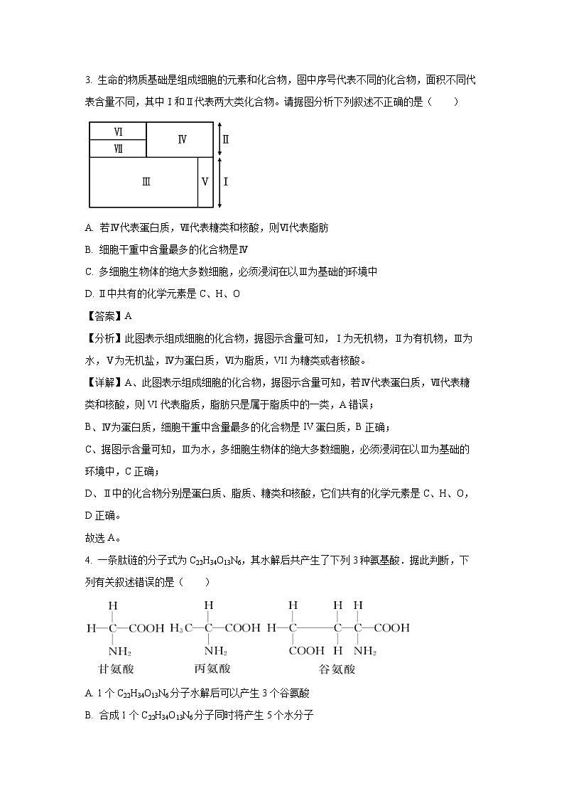 【生物】山西省太原某校2024-2025学年高一上学期10月月考试题（解析版）第2页