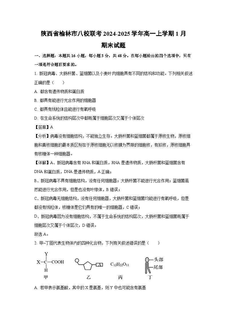 【生物】陕西省榆林市八校联考2024-2025学年高一上学期1月期末试题（解析版）第1页