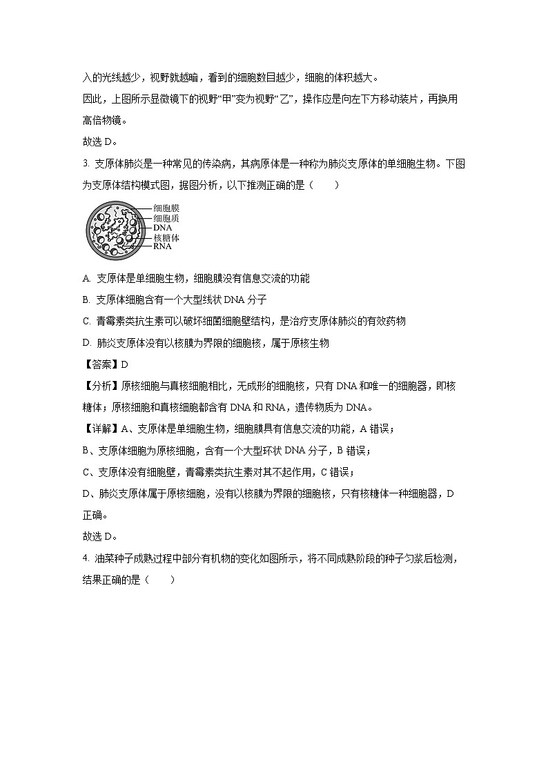 【生物】河南省顶级名校2024-2025学年高一上学期期中考试试题（解析版）第2页