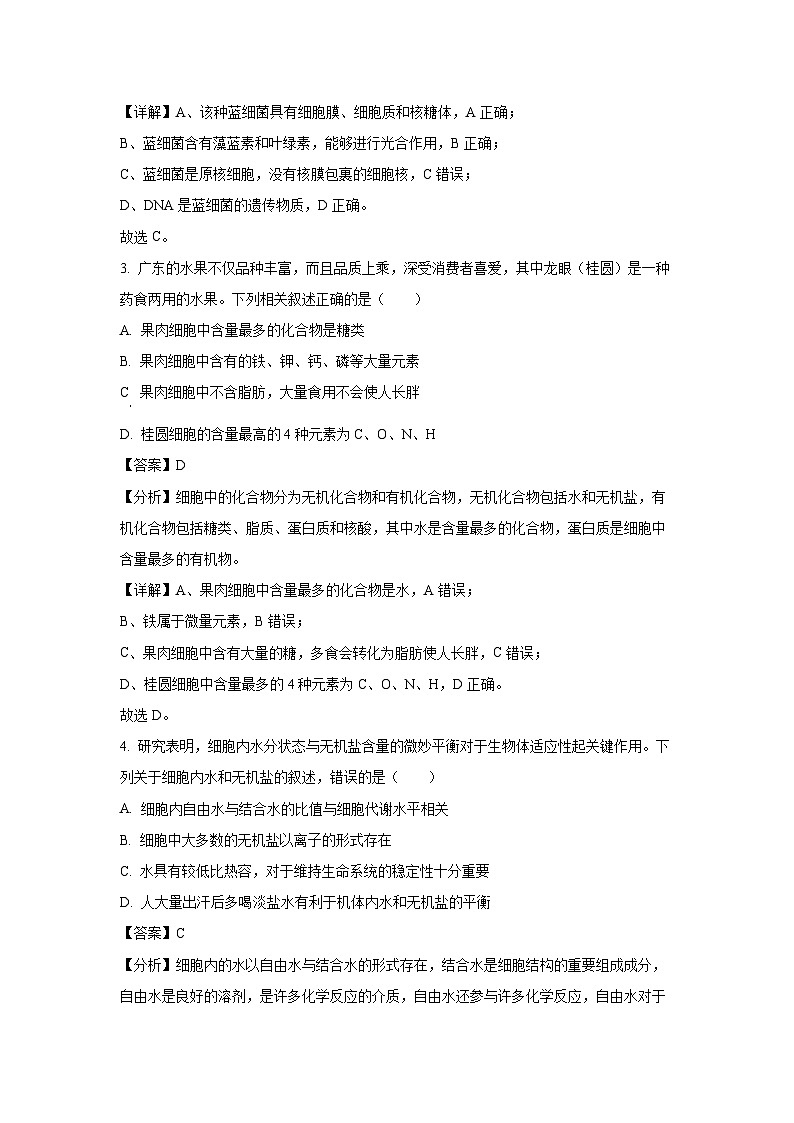 【生物】河南省晋豫联盟百强大联考2024-2025学年高一上学期12月月考试题（解析版）第2页