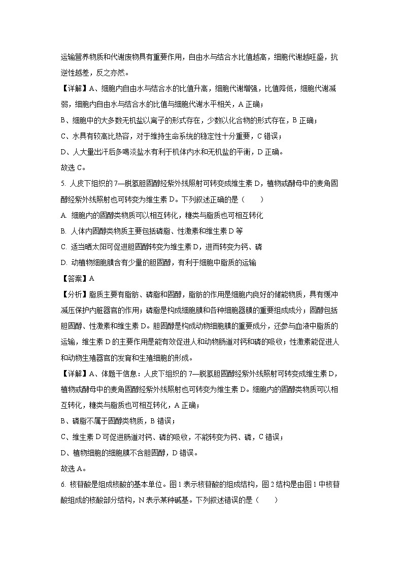 【生物】河南省晋豫联盟百强大联考2024-2025学年高一上学期12月月考试题（解析版）第3页
