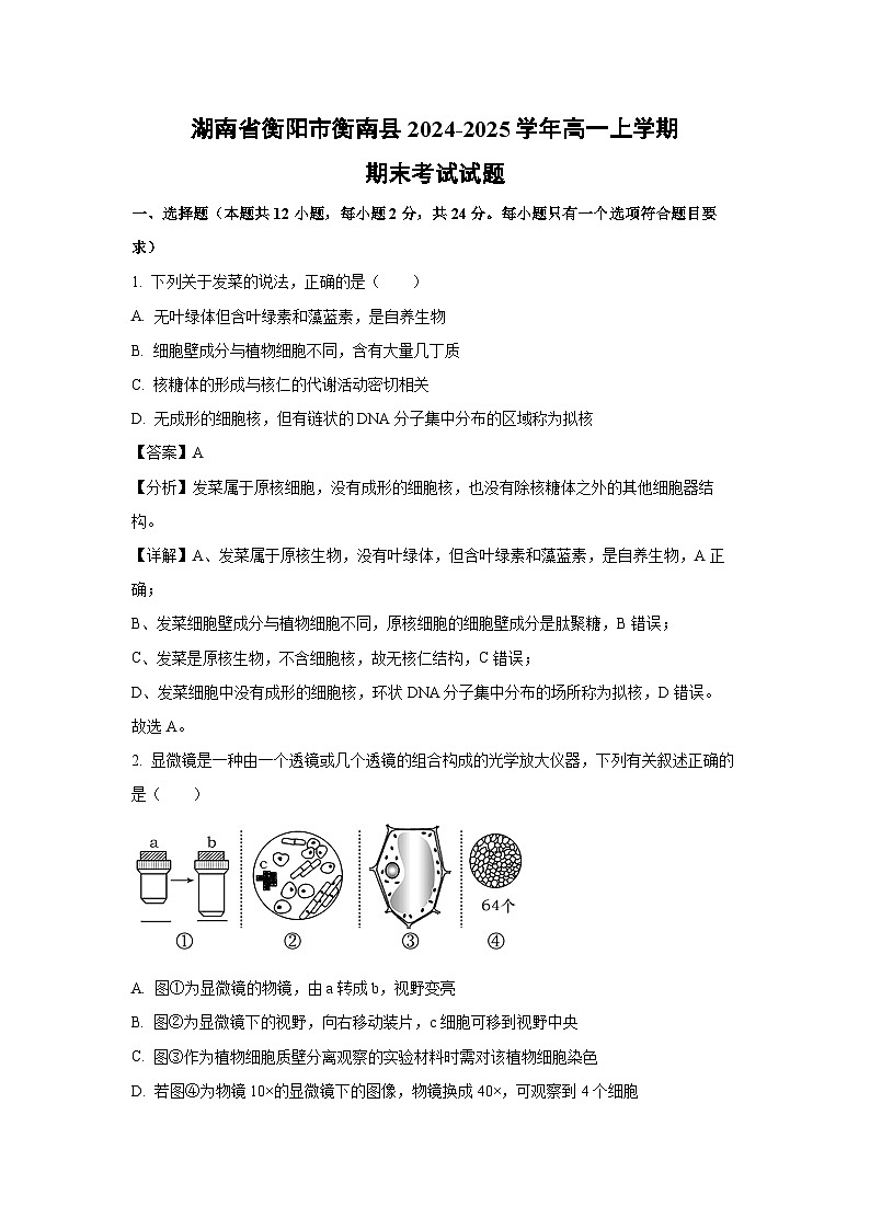【生物】湖南省衡阳市衡南县2024-2025学年高一上学期期末考试试题（解析版）第1页