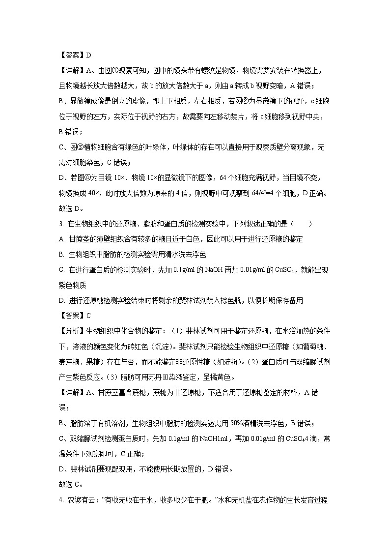 【生物】湖南省衡阳市衡南县2024-2025学年高一上学期期末考试试题（解析版）第2页