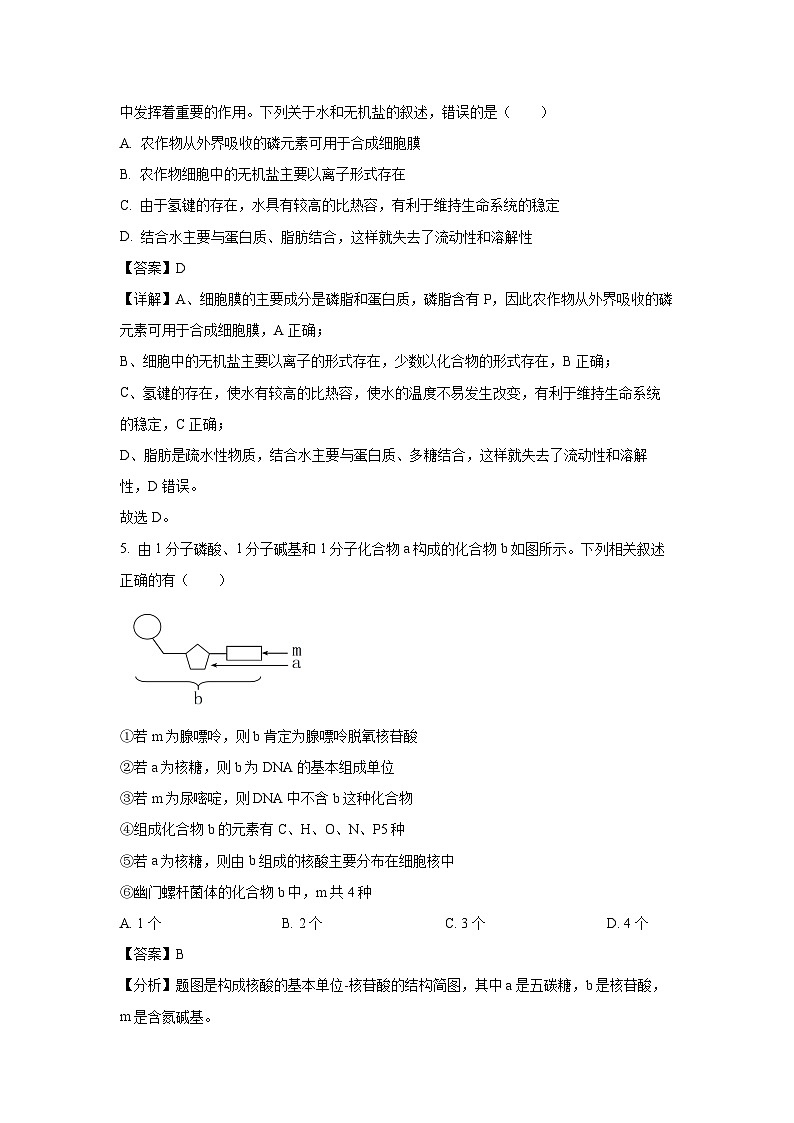 【生物】湖南省衡阳市衡南县2024-2025学年高一上学期期末考试试题（解析版）第3页