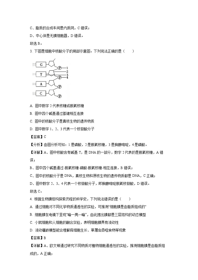 【生物】江苏省扬州市2024—2025学年高一上学期期末检测试题（解析版）第2页