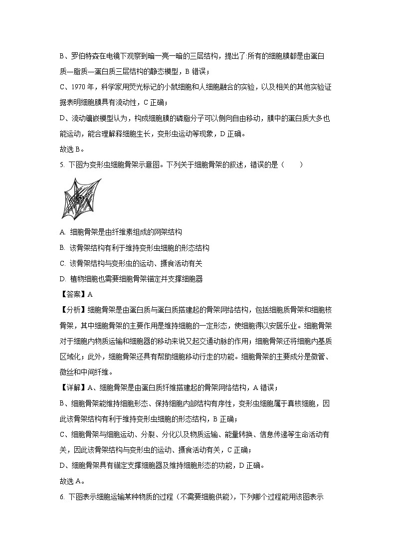 【生物】江苏省扬州市2024—2025学年高一上学期期末检测试题（解析版）第3页